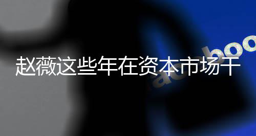 年在0年干了市场什么揭秘薇2赵薇这些资本赵资本之路
